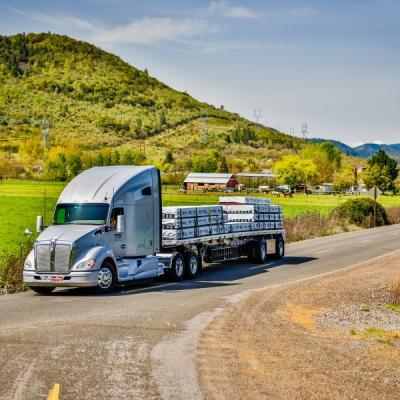 Domestic transport services